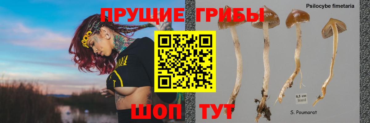 Псилоцибиновые грибы мухоморы Ярцево